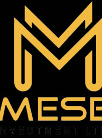 Olumese Moses Omo Ojugo